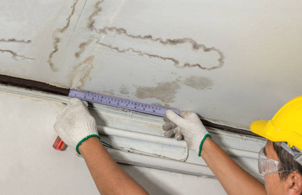 Reliable Mold Remediation contractor in Warden, WA by Water Damage Irwin